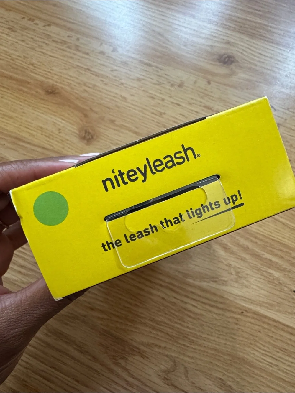 NiteyLeash Light-Up Dog Leash in Neon Green 🐾